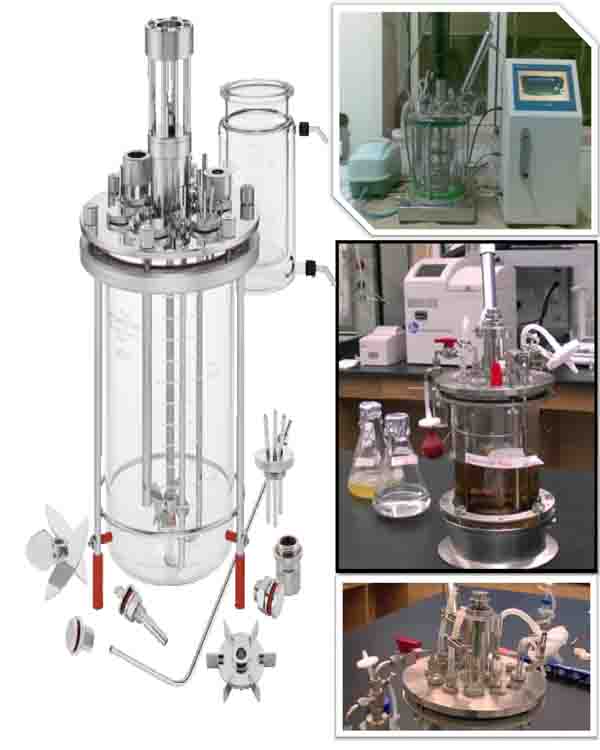 bioreactor fermenter بایوراکتور فرمنتور